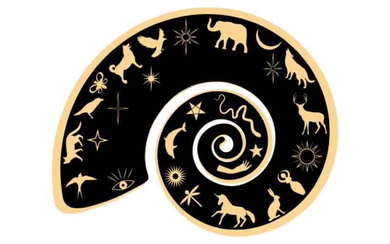 Purva Phalguni Nakshatra predictions for 2023 – Vedic Astrology