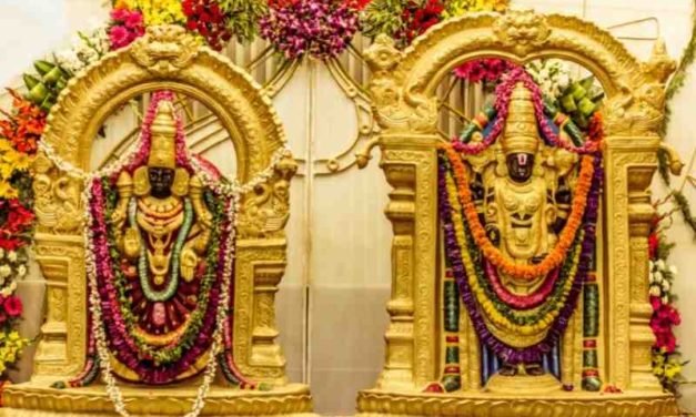 Why are Hindu gods portrayed with human qualities?