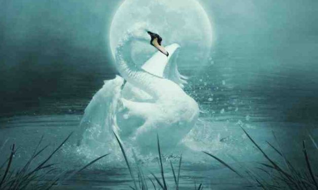 Hamsa Upanishad: The Swan Metaphor and the Journey of the Soul